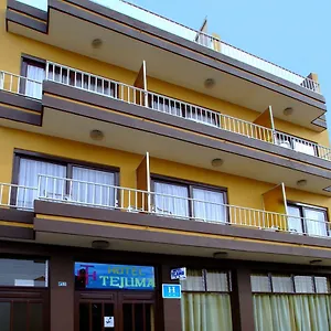 https://hotel-tejuma.in-canary-islands.com